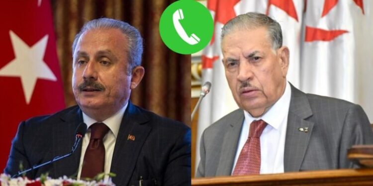 محادثات جزائرية تركية حول هذه القضايا