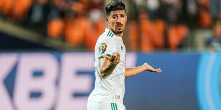 نصيحة بلماضي لبونجاح وبلعمري