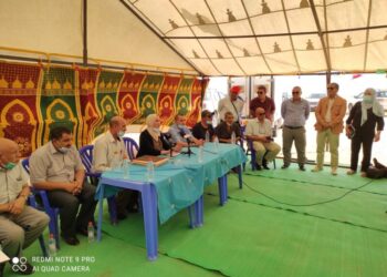 نحو إطلاق زراعات صناعية في الجنوب