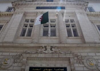 الجزائر تلاحق 53 “حوتا كبيرا” في 11 دولة
