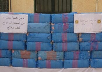 مفارز الجيش تحجر كميات ضخمة من المخدرات