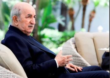 جديد سيارات “بيجو” في الجزائر