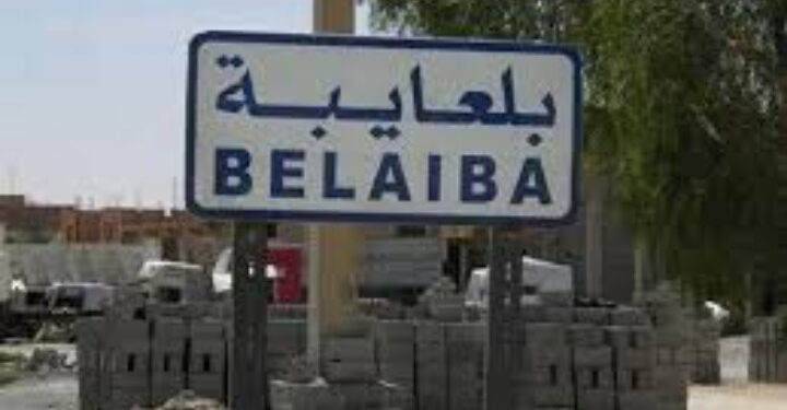 الكلاب الضالة تنهش طفلا حتى الموت بالمسيلة