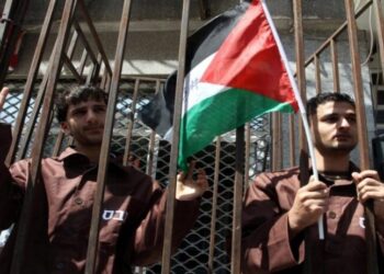 4650 عدد أسرى فلسطين بسجون الاحتلال