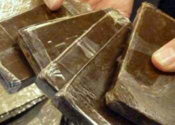 حجز 25 طن من القنب الهندي في أربعة أشهر