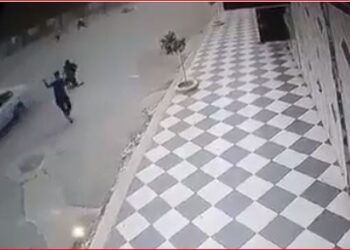 شجار دام في باتنة وإيقاف متورطين في الجريمة