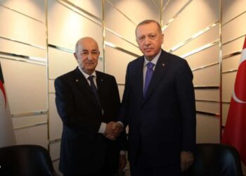 الرئيس تبون يتحادث مع الرئيس التركي