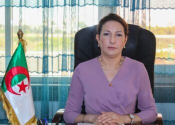 وزيرة الثقافة تتضامن مع الفنانين
