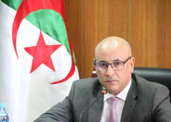 “الأرندي” يشارك في الحكومة