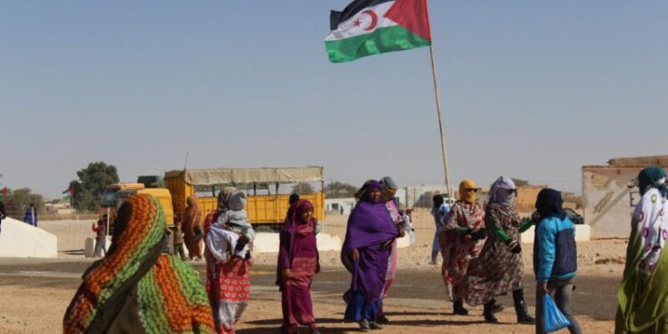 كفاح المرأة الصحراوية في ندوة بالمكسيك
