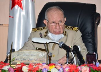 الفريق شنقريحة: السياق الدولي الحالي لا يرحم الضعفاء