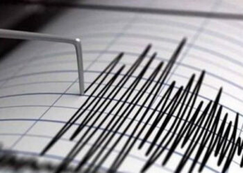 هزة أرضية في تيبازة