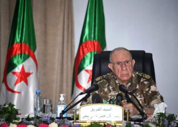 الفريق شنقريحة يشرف على تمرين القفز المظلي الرياضي