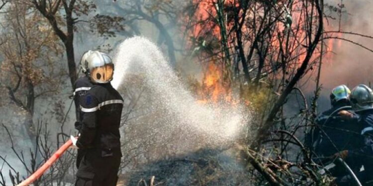 بداية الخروج من نفق الحرائق