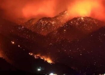 ثبوت ضلوع حركتي “الماك” و”رشاد” في إشعال الحرائق