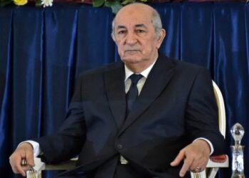 الرئيس تبون: الجيش عمود فقري للدولة
