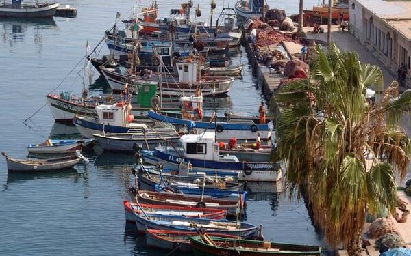 حملة تلقيح لفائدة مهنيي الصيد البحري