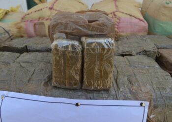حجز كمية ضخمة من المخدرات