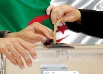 الانتخابات المحلية في نوفمبر المقبل