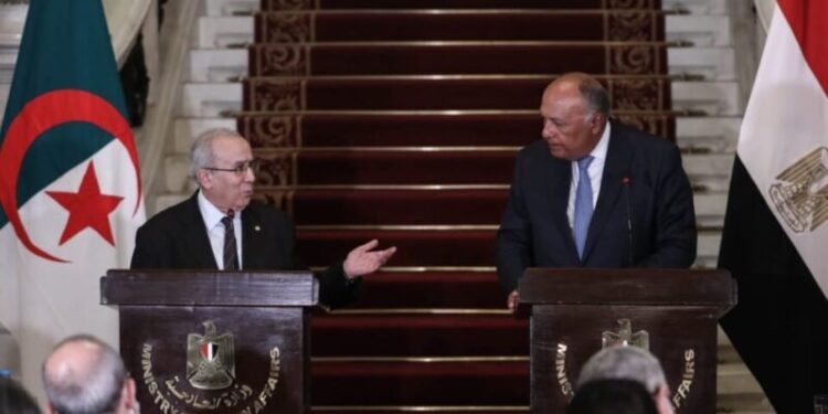 تنسيق جزائري-مصري بشأن الأوضاع في ليبيا