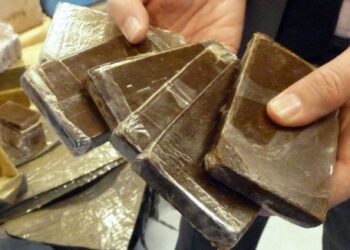حجز 5 قناطير من القنب الهندي في 6 أشهر بالعاصمة