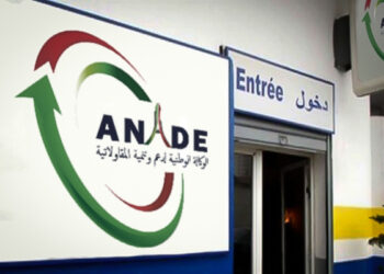 “أناد” تدعو الشباب للاستثمار في إنتاج الأدوات المدرسية
