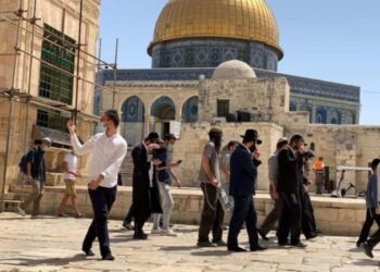 مستوطنون يهود يقتحمون باحات المسجد الأقصى