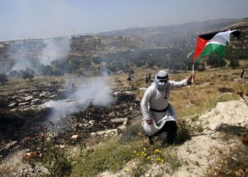 تنديد بتوسيع الاستيطان في الأراضي الفلسطينية المحتلة