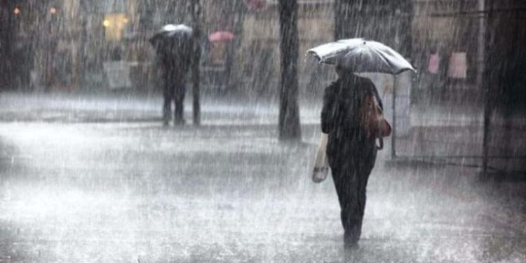 أمطار غزيرة بهذه الولايات