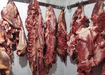 حجز لحم ممزوج بمسحوق حفظ الجثث في وهران