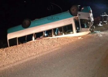 بقرة تتسبب في حادث مرور خطير بالبيض