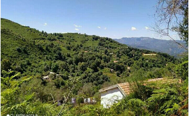 أولاد شبانة بجيجل.. منطقة سياحية تغيب عنها التنمية
