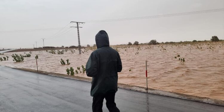 سيول جارفة في إيليزي