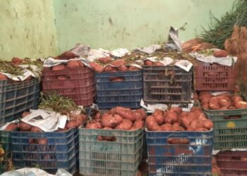 حجز 970 قنطار من البطاطا بمعسكر