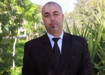 البروفيسور بوعمامة: تنظيم الإعلام الإلكتروني الجزائري ضرورة ملحّة