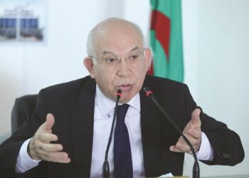 رحابي: تصريحات ماكرون انتهازية إنتخابية ومغالطات تاريخية