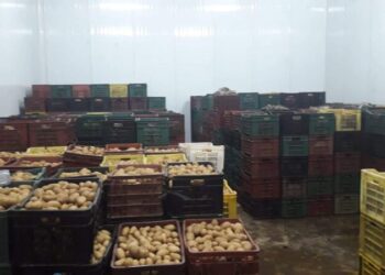 حجز 120 ألف قنطار من البطاطا في شهر