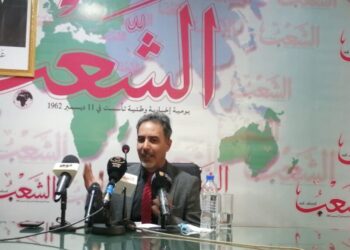 هويلي: الجزائر تتعرض لحملة إعلامية شرسة