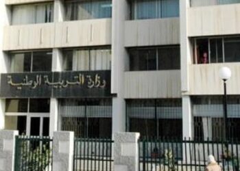 القانون الخاص بأسلاك التربية الوطنية (وثيقة)