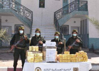 توقيف 48 تاجر مخدرات