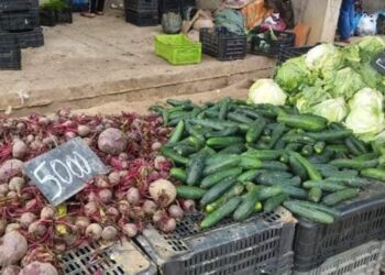 خبير اقتصادي: الاستيراد الاستعجالي حل لإعادة استقرار الأسعار