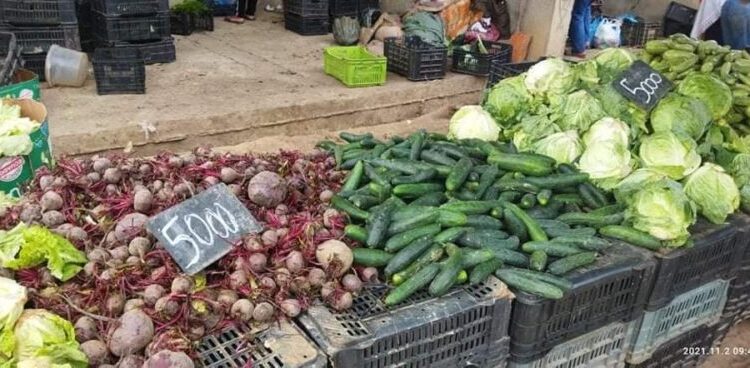 خبير اقتصادي: الاستيراد الاستعجالي حل لإعادة استقرار الأسعار