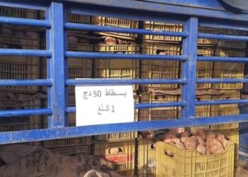 متى وكيف تحصل على بطاطا بـ 50 دينارا ؟