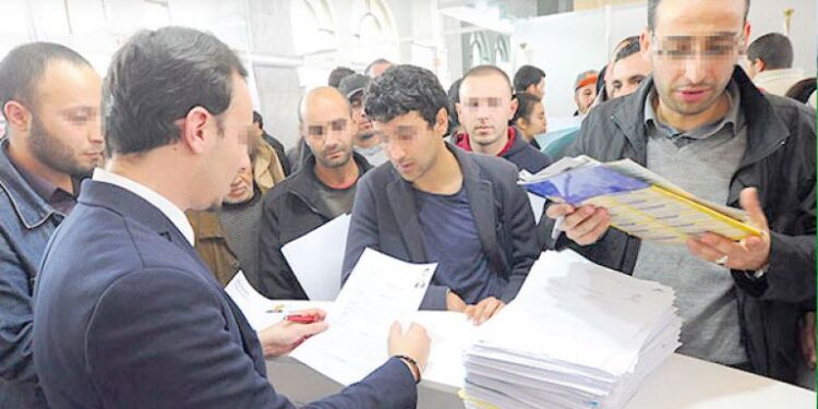 ما تقرر بشأن مشاريع دعم تشغيل الشباب