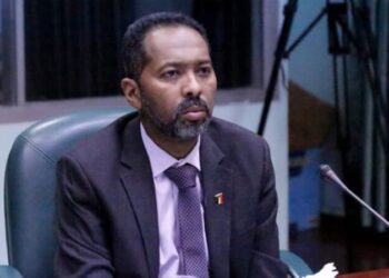 الإفراج عن وزير شؤون مجلس الوزراء السوداني السابق