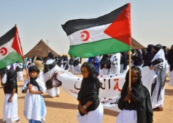 دبلوماسي صحراوي: جنوب إفريقيا حليف قوي للصحراء الغربية