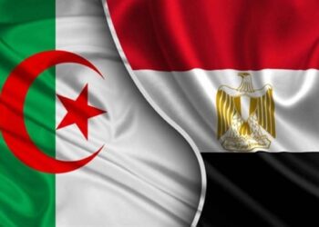 ندوة اقتصادية جزائرية-مصرية قريبا بالجزائر