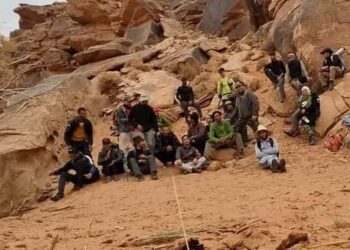 بالصور.. مبادرة خاصة لاكتشاف سحر النعامة