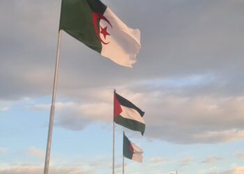 “دعم الجزائر لفلسطين ساهم في رفع القدرات العلمية للفلسطينيين”