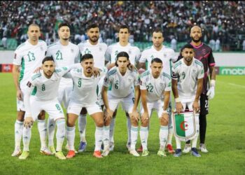 برنامج “الخضر” في “كان الكاميرون”